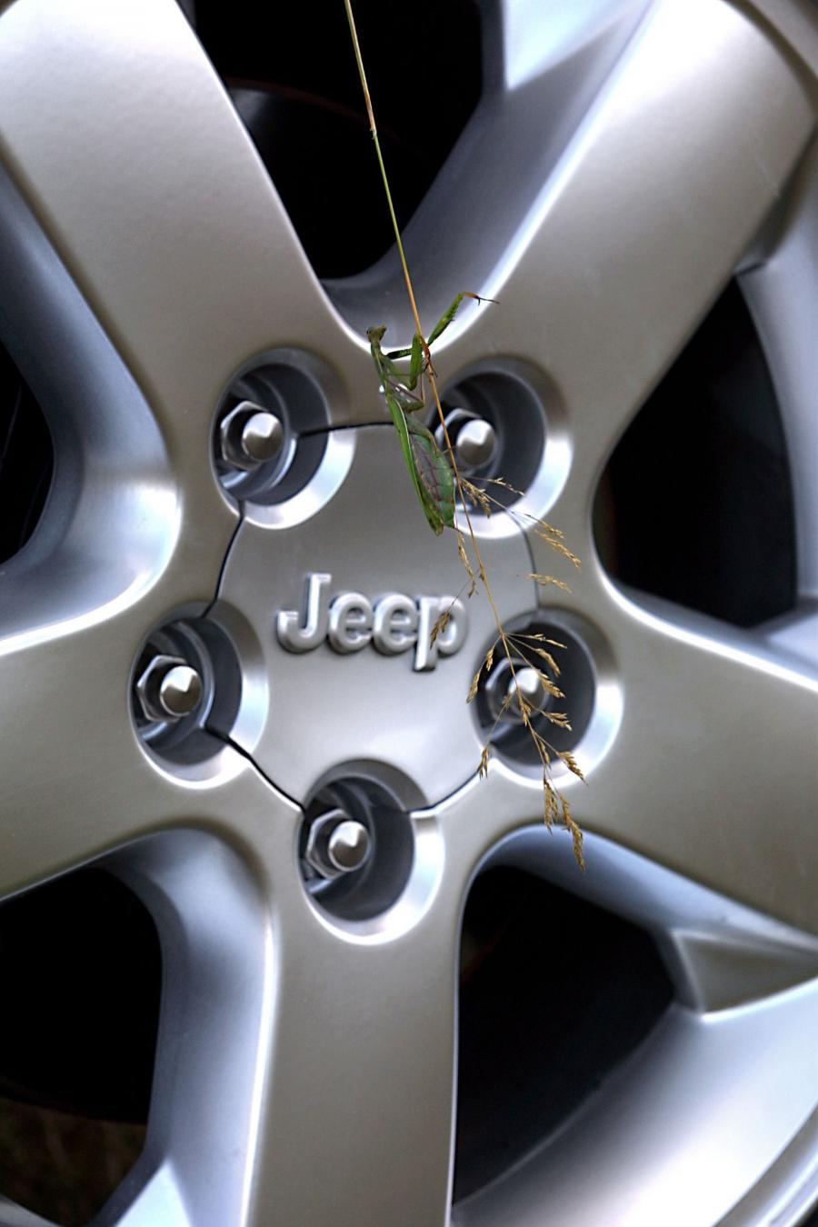  Jeep Grand Cherokee 1999 года  (фото 64 из 80)